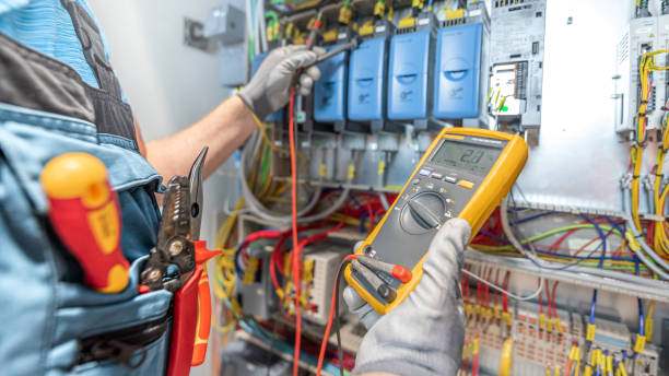 Best Electric Panel Repair  in Lenoir, NC